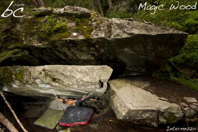 Henry in "Intermezzo" (1)